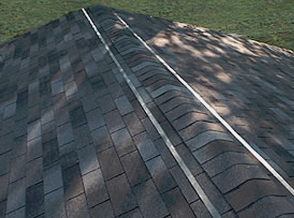 Protect Roof against the mold
